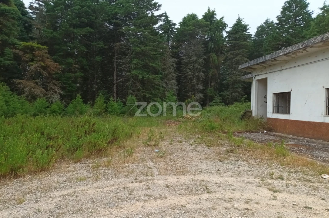 Terreno Comércio / Armazém para Venda em Assafarge e Antanhol Foto 1