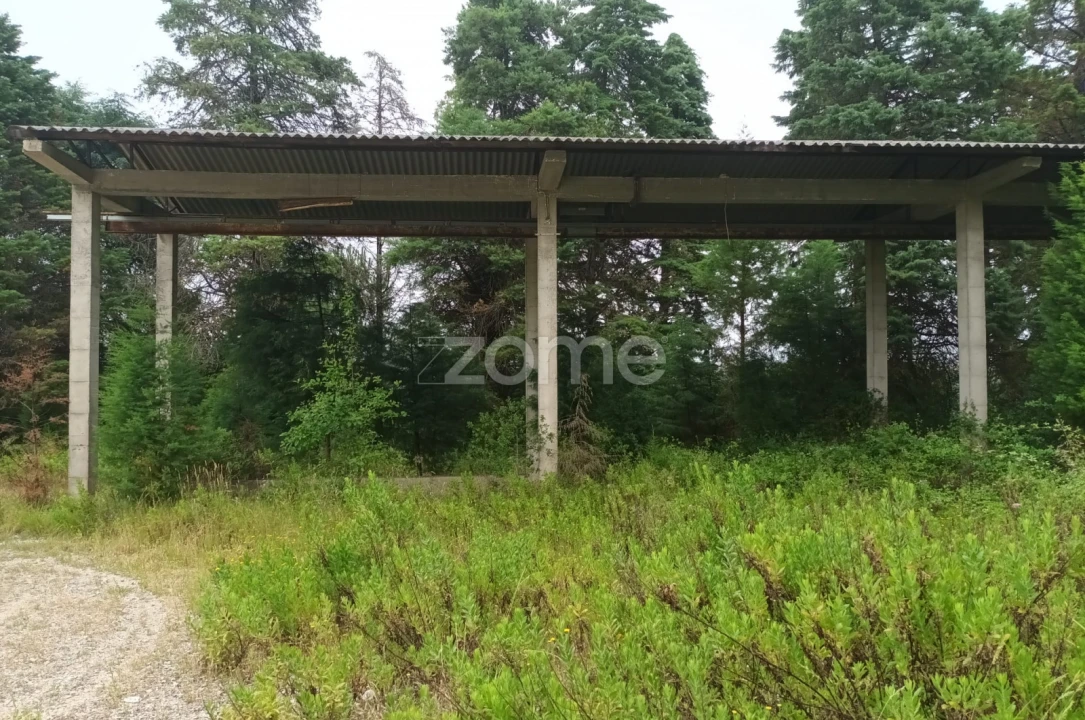 Terreno Comércio / Armazém para Venda em Assafarge e Antanhol Foto 14