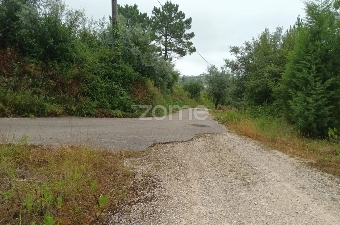 Terreno Comércio / Armazém para Venda em Assafarge e Antanhol Foto 12