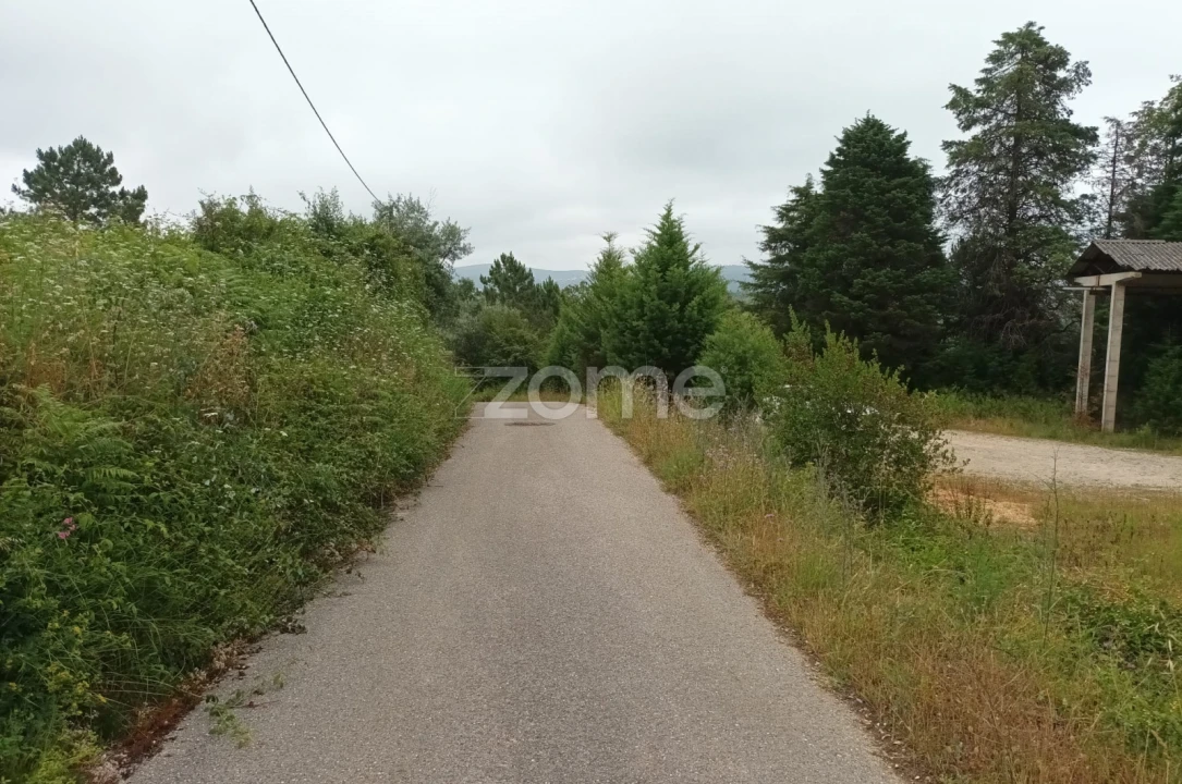Terreno Comércio / Armazém para Venda em Assafarge e Antanhol Foto 15