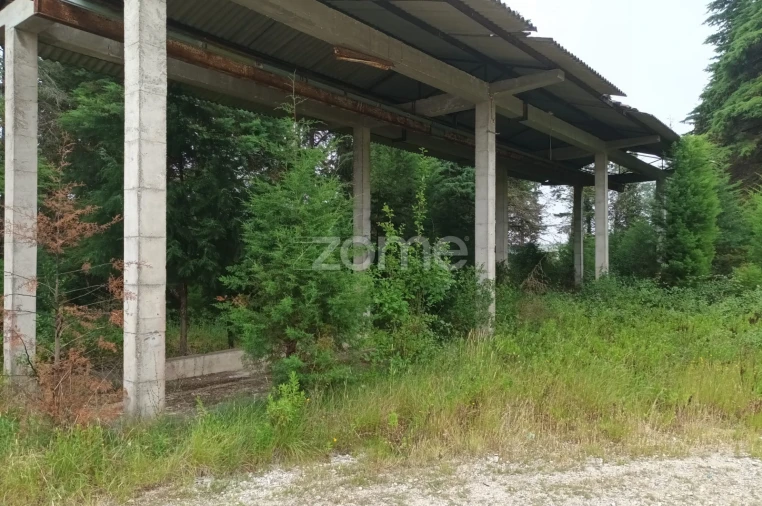 Terreno Comércio / Armazém para Venda em Assafarge e Antanhol Foto 3