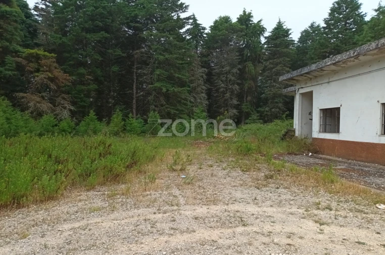 Terreno Comércio / Armazém para Venda em Assafarge e Antanhol Foto 1