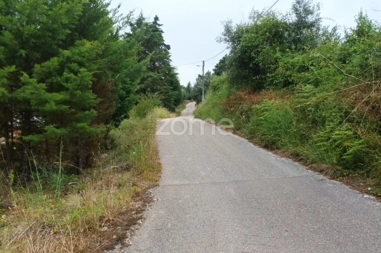 Terreno Comércio / Armazém para Venda em Assafarge e Antanhol Foto 11
