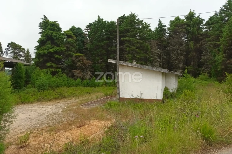 Terreno Comércio / Armazém para Venda em Assafarge e Antanhol Foto 17