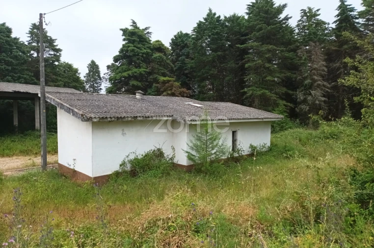 Terreno Comércio / Armazém para Venda em Assafarge e Antanhol Foto 18