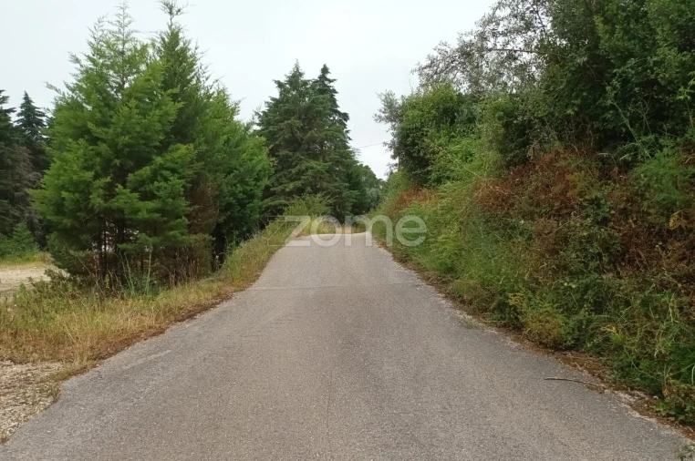 Terreno Comércio / Armazém para Venda em Assafarge e Antanhol Foto 19