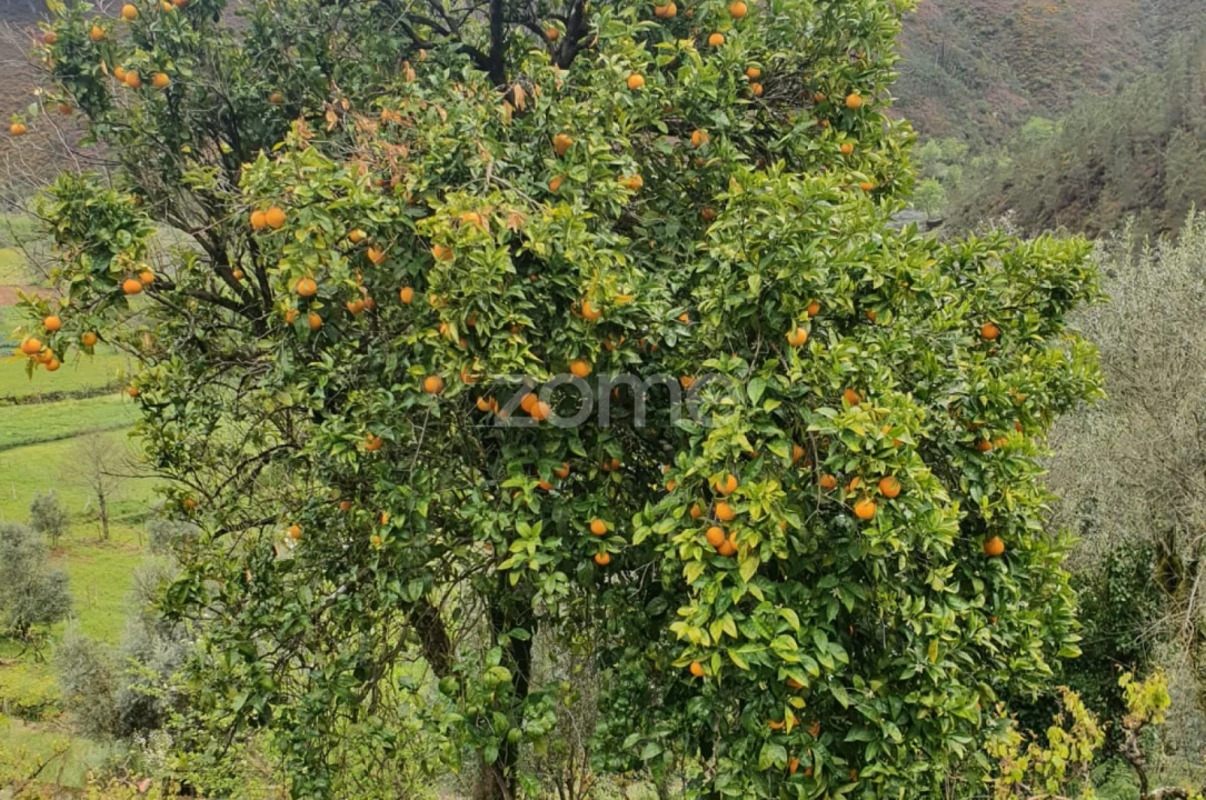 Moradia T2 para Venda em Cabril Foto 27