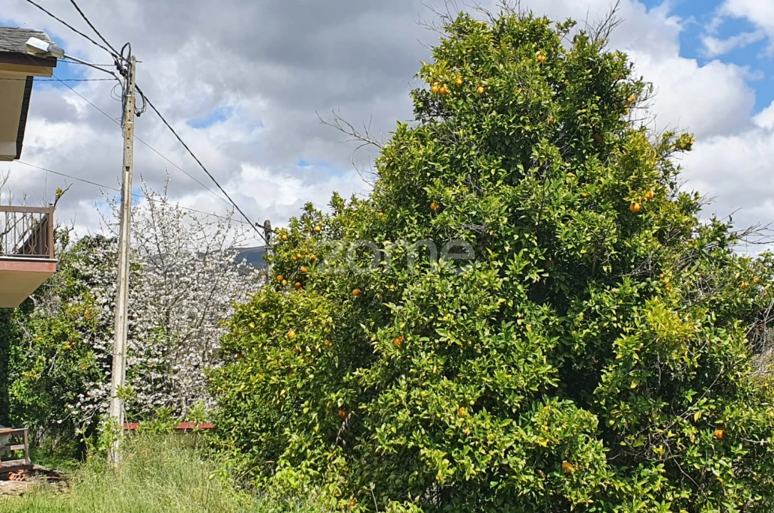 Moradia T2 para Venda em Cabril Foto 20