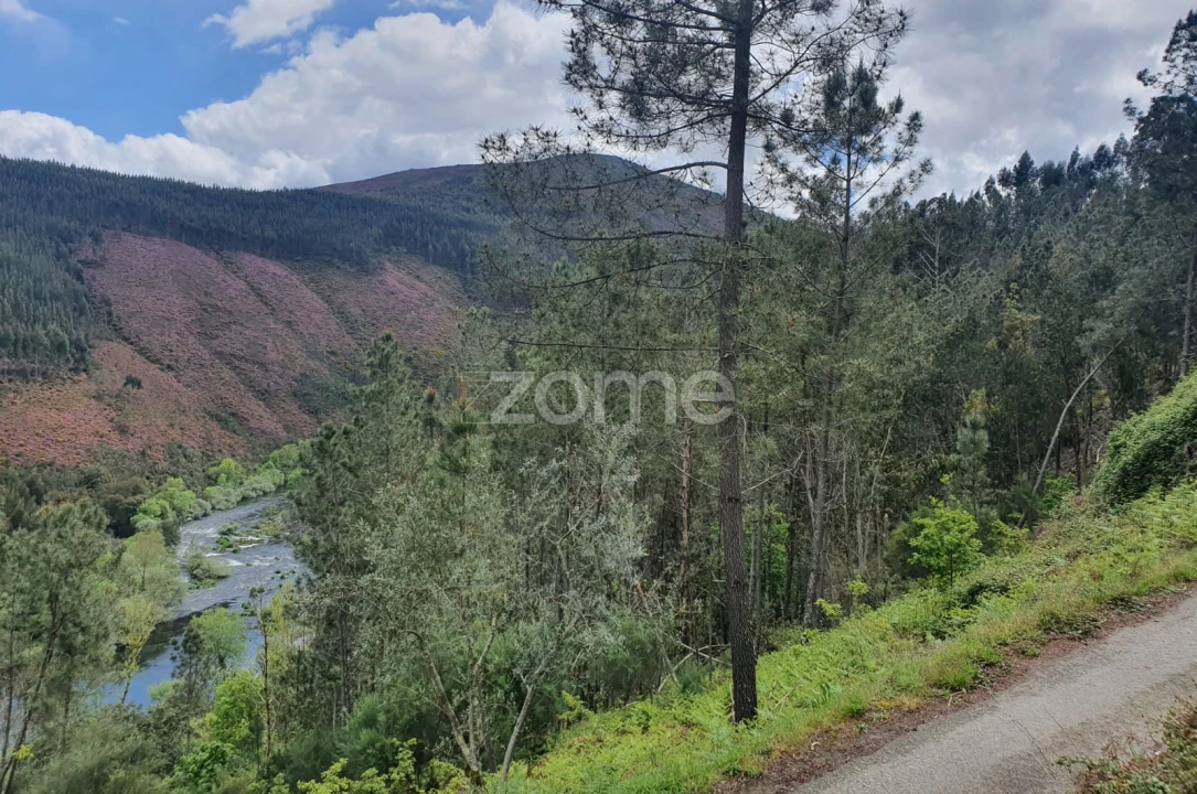 Moradia T2 para Venda em Cabril Foto 11