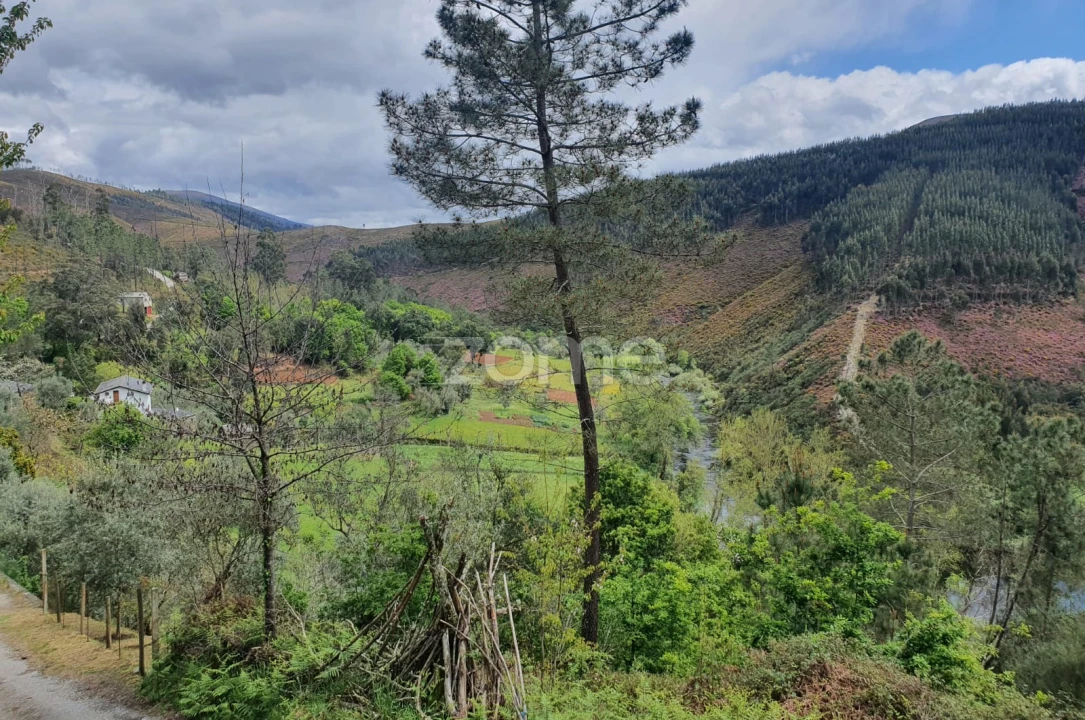 Moradia T2 para Venda em Cabril Foto 14