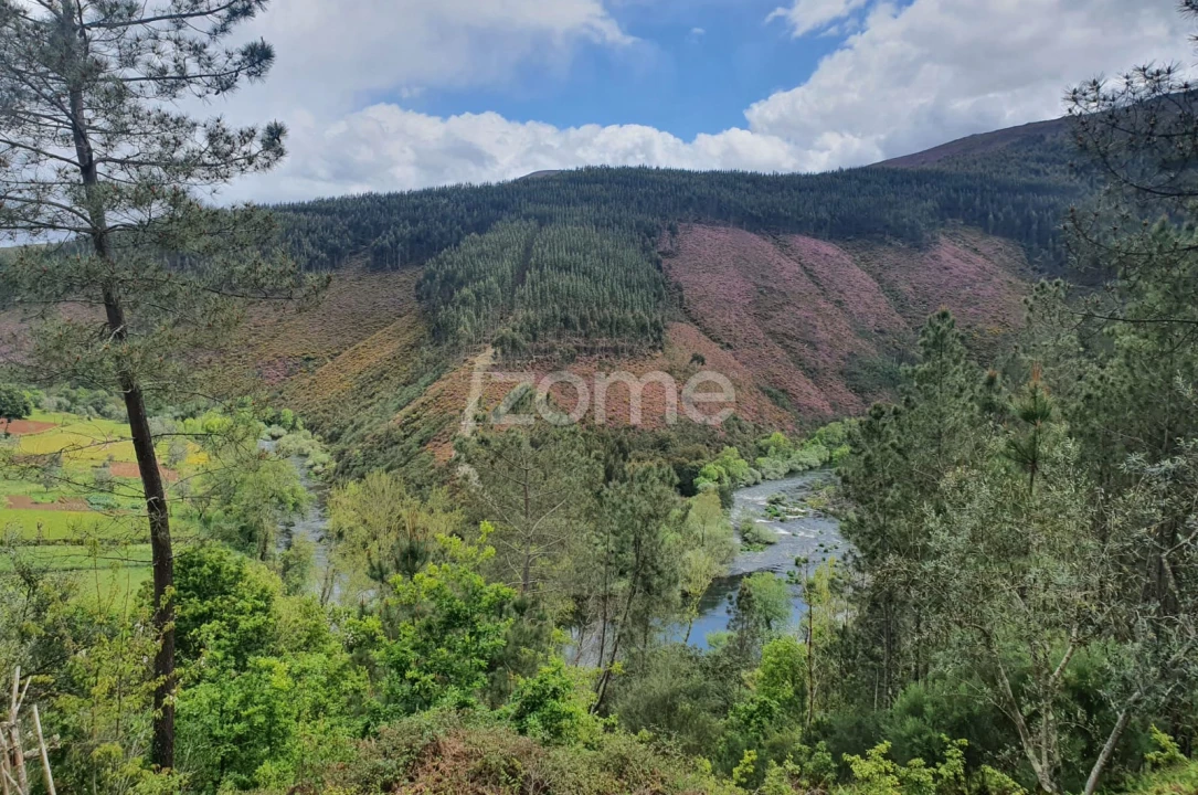 Moradia T2 para Venda em Cabril Foto 12