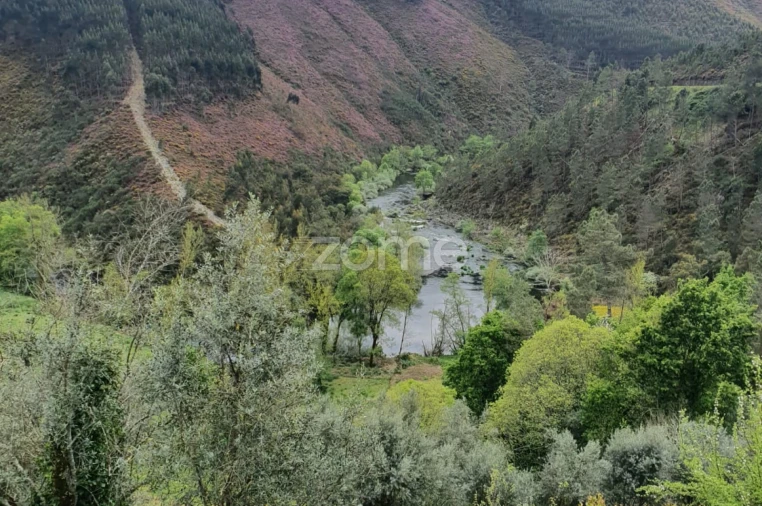 Moradia T2 para Venda em Cabril Foto 17