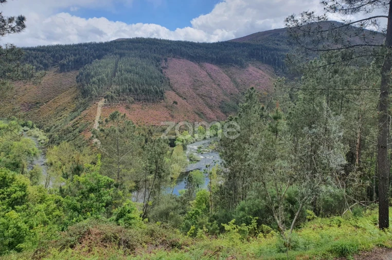 Moradia T2 para Venda em Cabril Foto 9