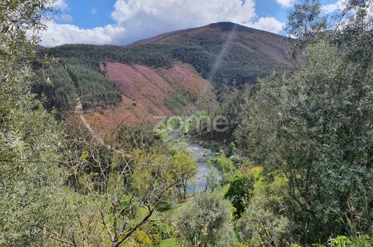 Moradia T2 para Venda em Cabril Foto 21