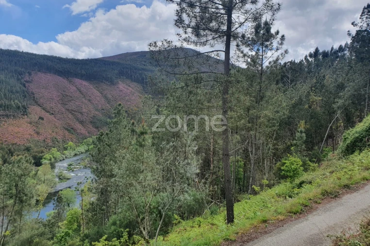 Moradia T2 para Venda em Cabril Foto 11