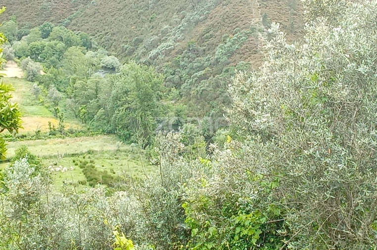 Moradia T2 para Venda em Cabril Foto 44