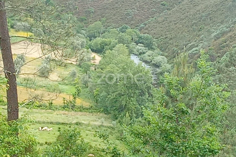 Moradia T2 para Venda em Cabril Foto 47