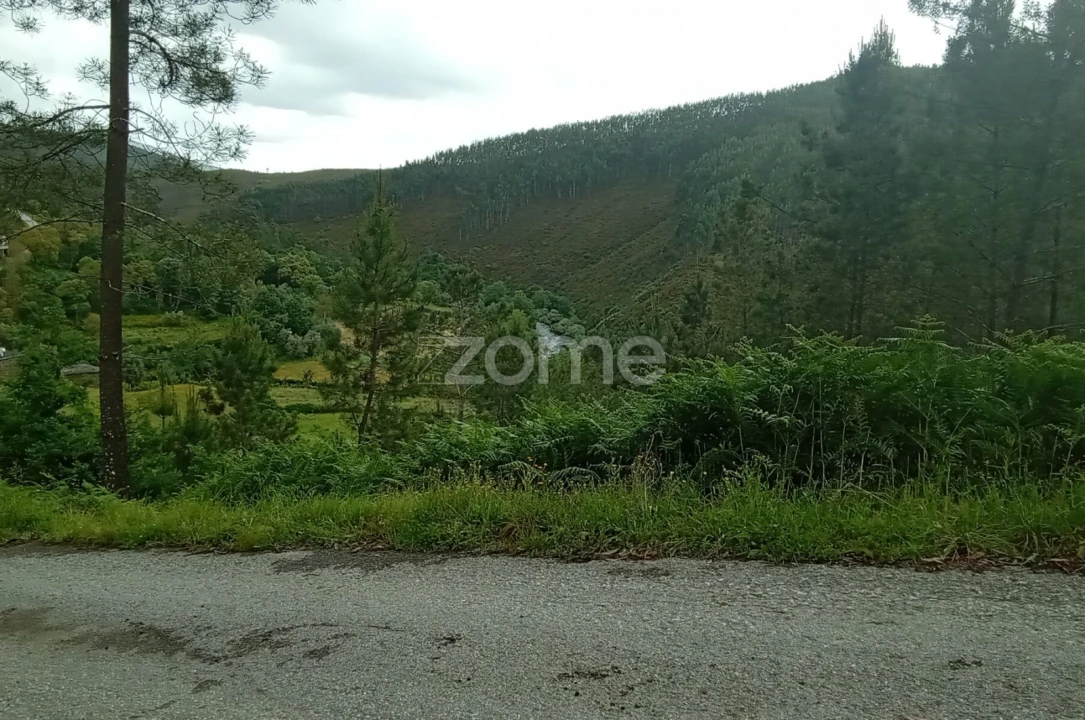 Moradia T2 para Venda em Cabril Foto 48