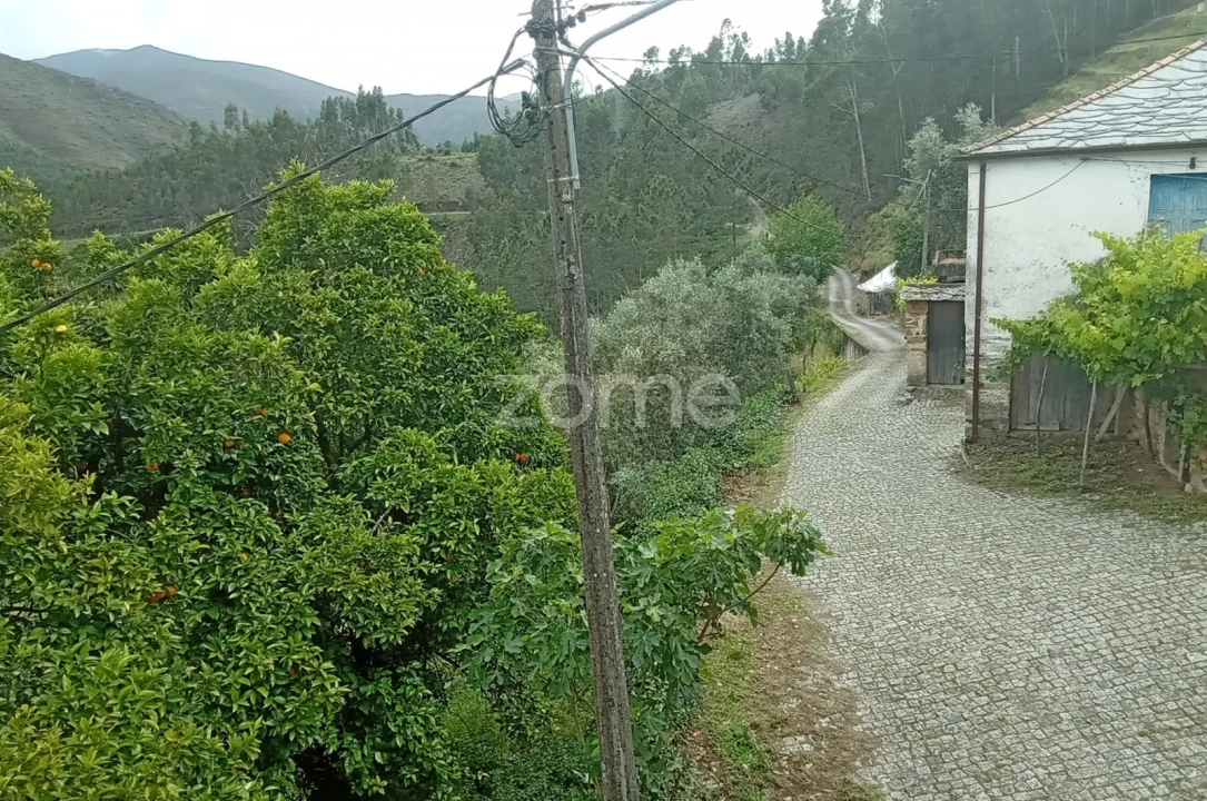 Moradia T2 para Venda em Cabril Foto 40