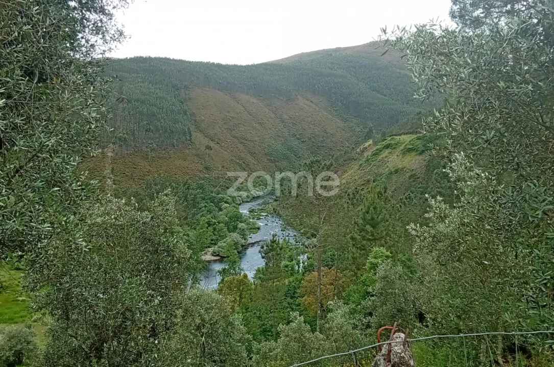 Moradia T2 para Venda em Cabril Foto 46