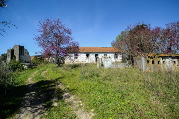Quinta T5 para Venda em Azambujeira e Malaqueijo Foto 8