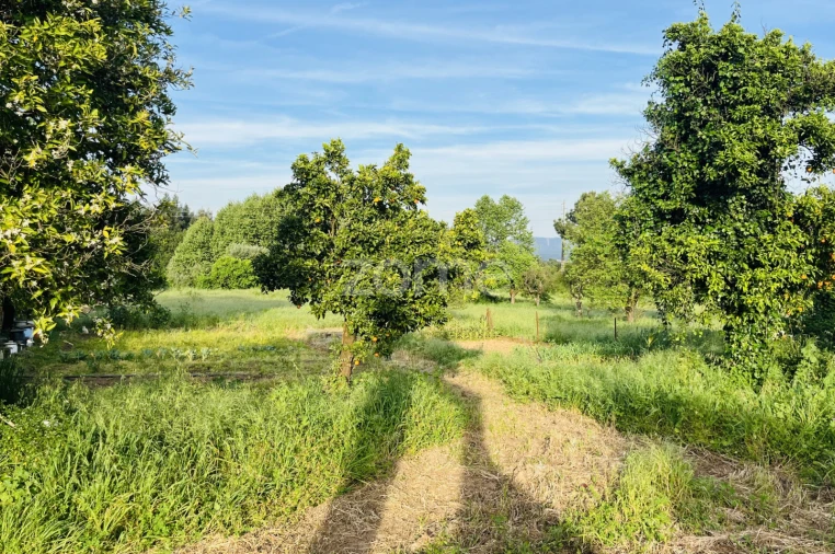 Moradia T11 para Venda em Sangalhos Foto 16