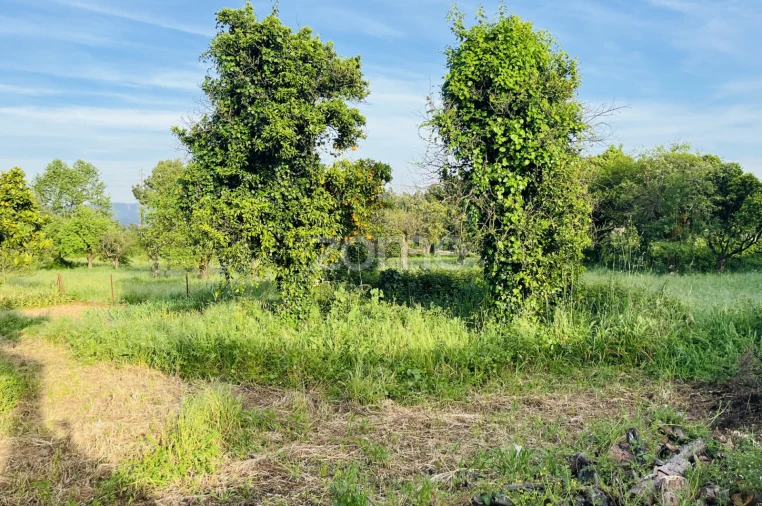 Moradia T11 para Venda em Sangalhos Foto 17