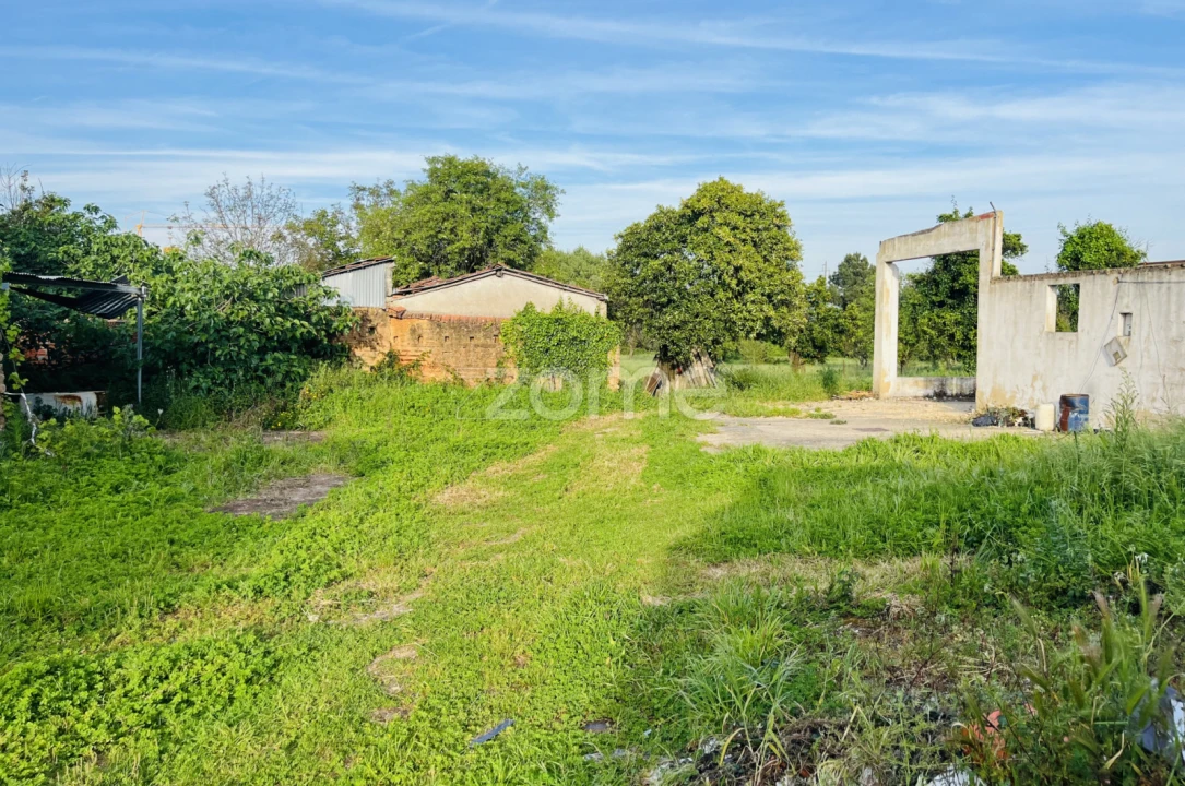 Moradia T11 para Venda em Sangalhos Foto 14