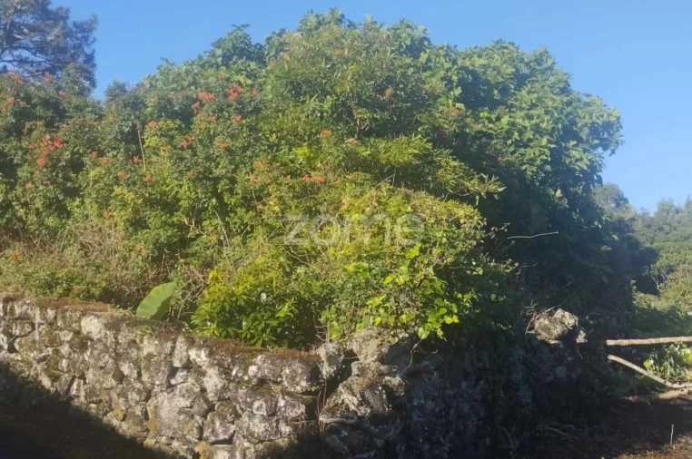 Terreno para Venda em Bandeiras Foto 5