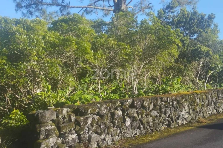 Terreno para Venda em Bandeiras Foto 6
