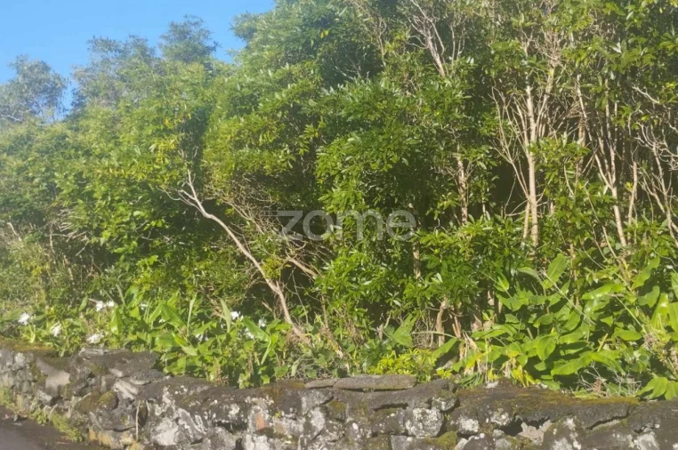 Terreno para Venda em Bandeiras Foto 7