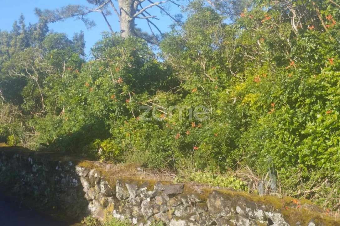 Terreno para Venda em Bandeiras Foto 5