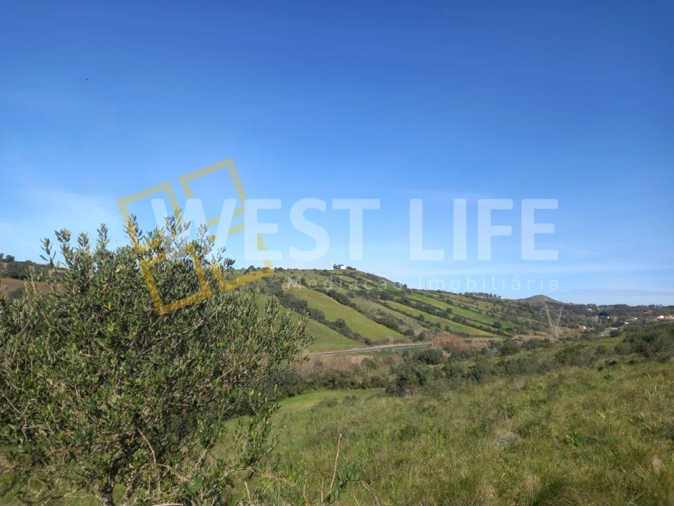 Terreno Agricola ou Rústico para Venda em Venda do Pinheiro e Santo Estêvão das Galés Foto 7
