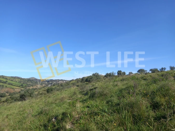 Terreno Agricola ou Rústico para Venda em Venda do Pinheiro e Santo Estêvão das Galés Foto 2