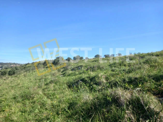 Terreno Agricola ou Rústico para Venda em Venda do Pinheiro e Santo Estêvão das Galés Foto 4
