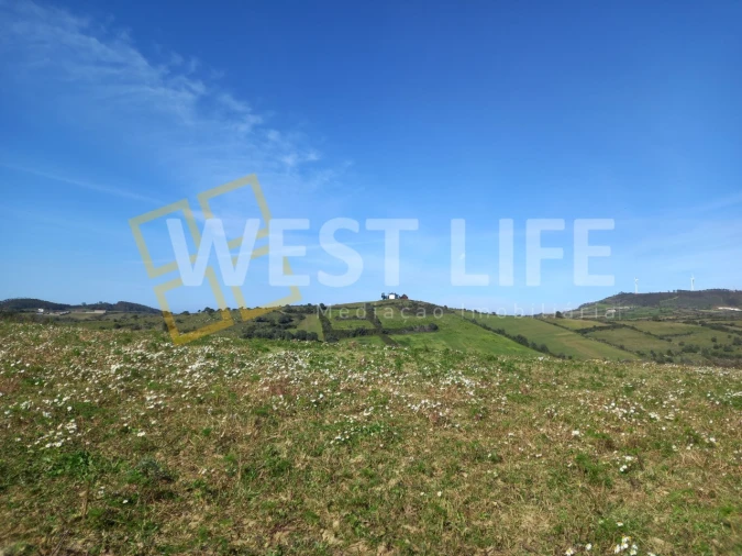 Terreno Agricola ou Rústico para Venda em Venda do Pinheiro e Santo Estêvão das Galés Foto 6