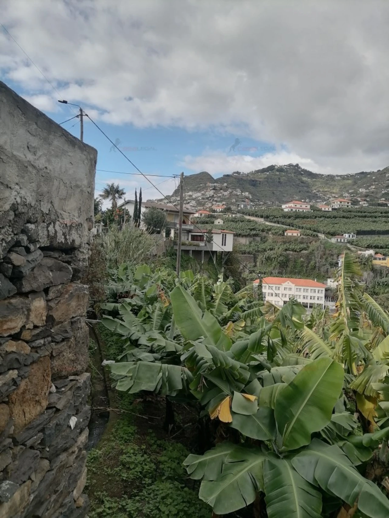 Prédio para Venda em Camara de Lobos Foto 9