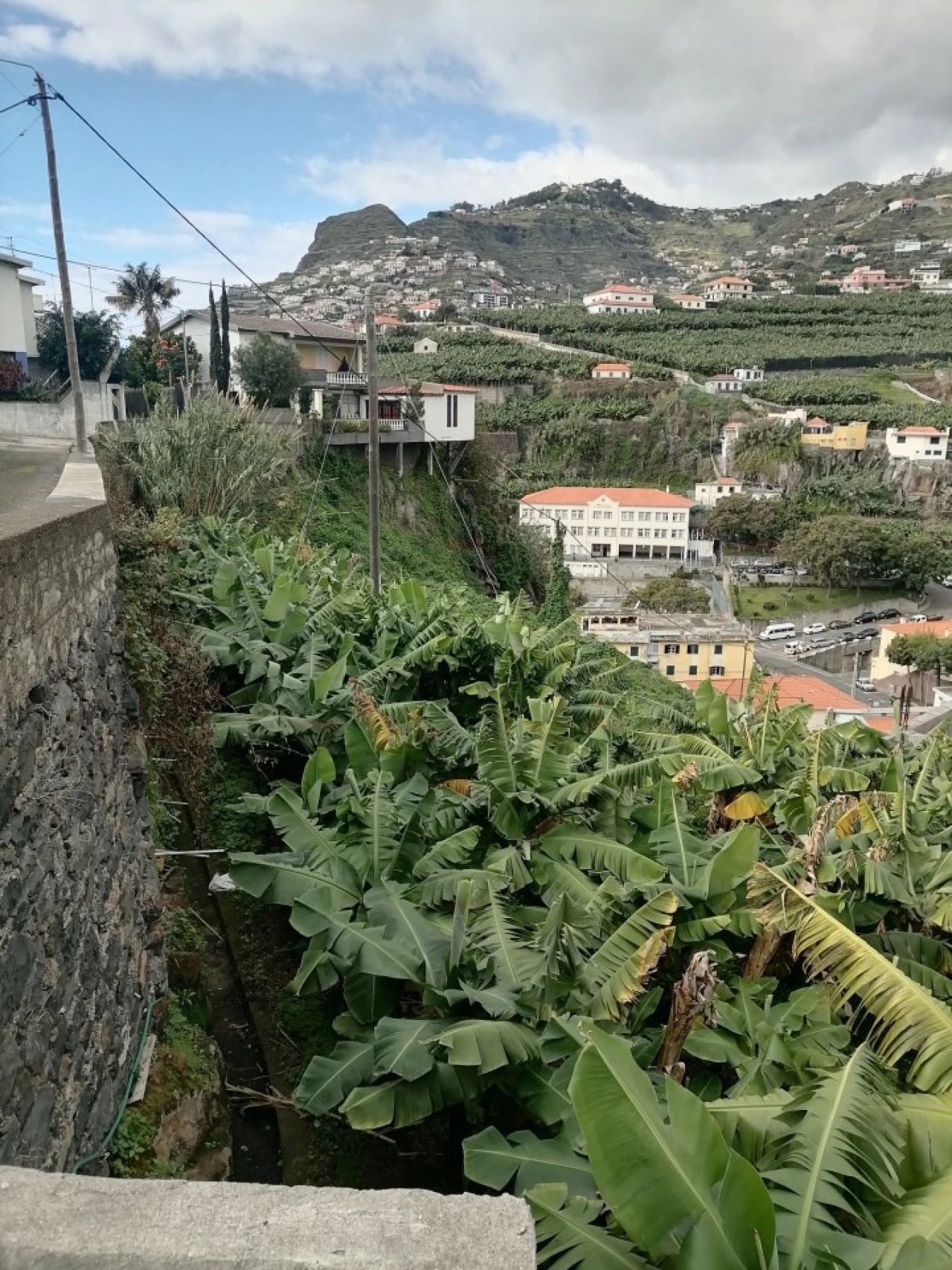 Prédio para Venda em Camara de Lobos Foto 10