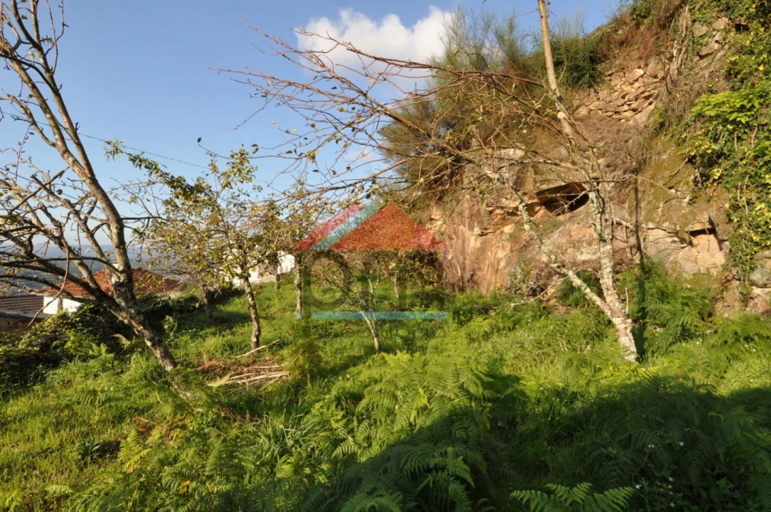 Moradia T2 para Venda em Abedim Foto 12