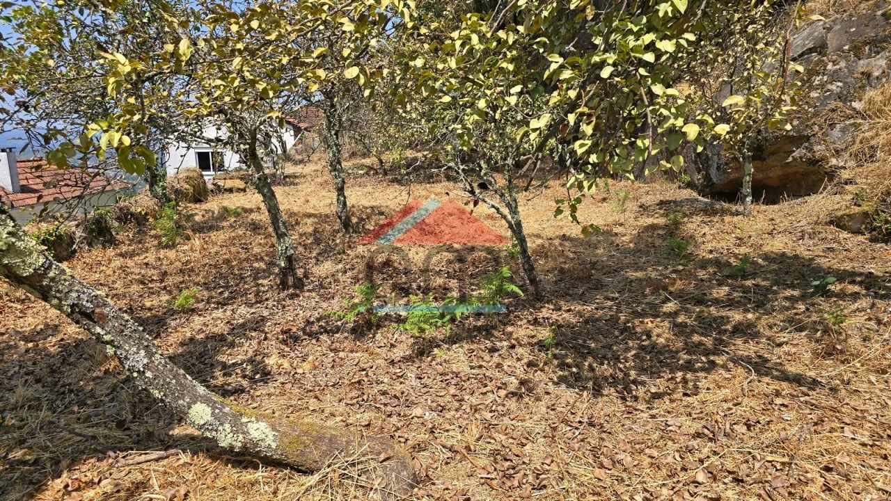 Moradia T2 para Venda em Abedim Foto 11