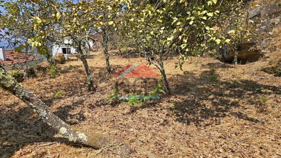 Moradia T2 para Venda em Abedim Foto 11