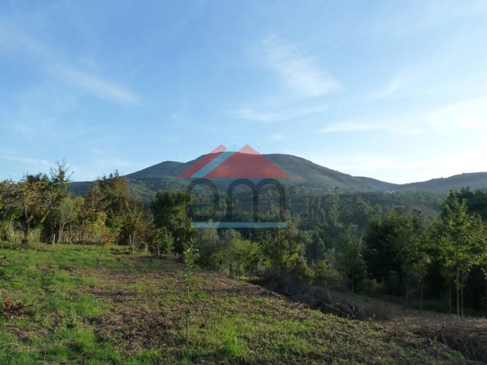 Moradia T3 para Venda em Ruivães e Campos Foto 39