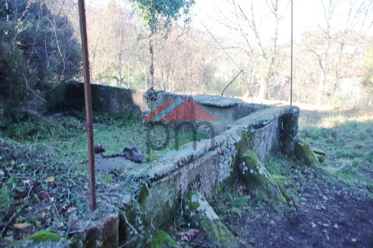 Moradia T3 para Venda em Ruivães e Campos Foto 18