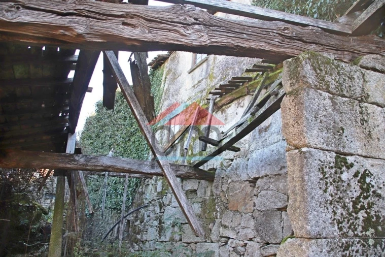 Moradia T3 para Venda em Ruivães e Campos Foto 19