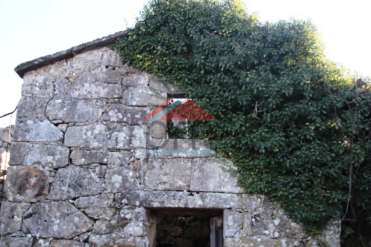 Moradia T3 para Venda em Ruivães e Campos Foto 29