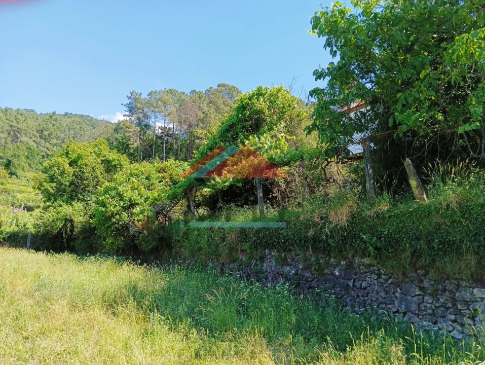 Quinta T1 para Venda em Tangil Foto 7