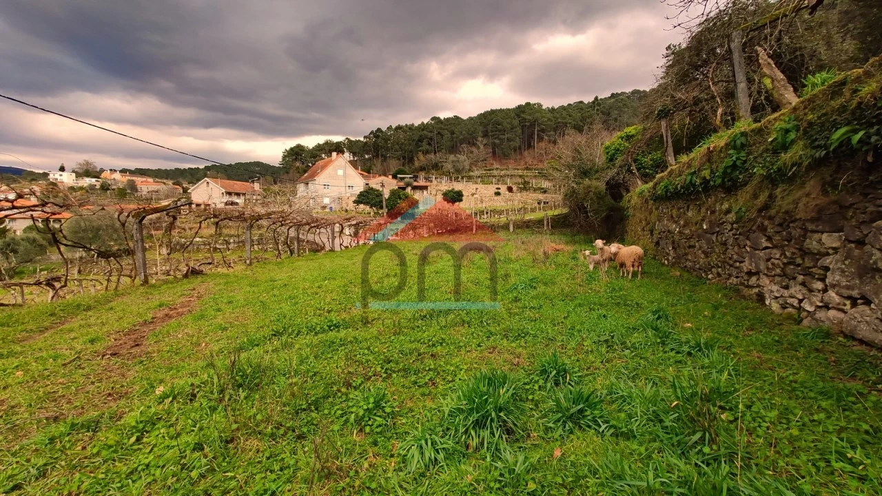 Quinta T1 para Venda em Tangil Foto 18