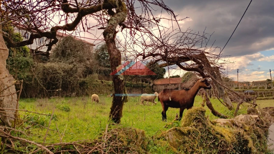 Quinta T1 para Venda em Tangil Foto 10