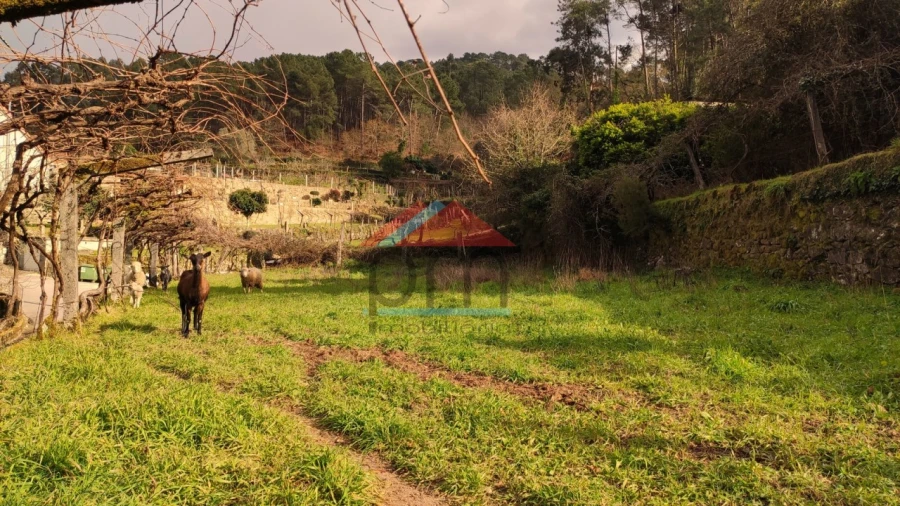 Quinta T1 para Venda em Tangil Foto 13