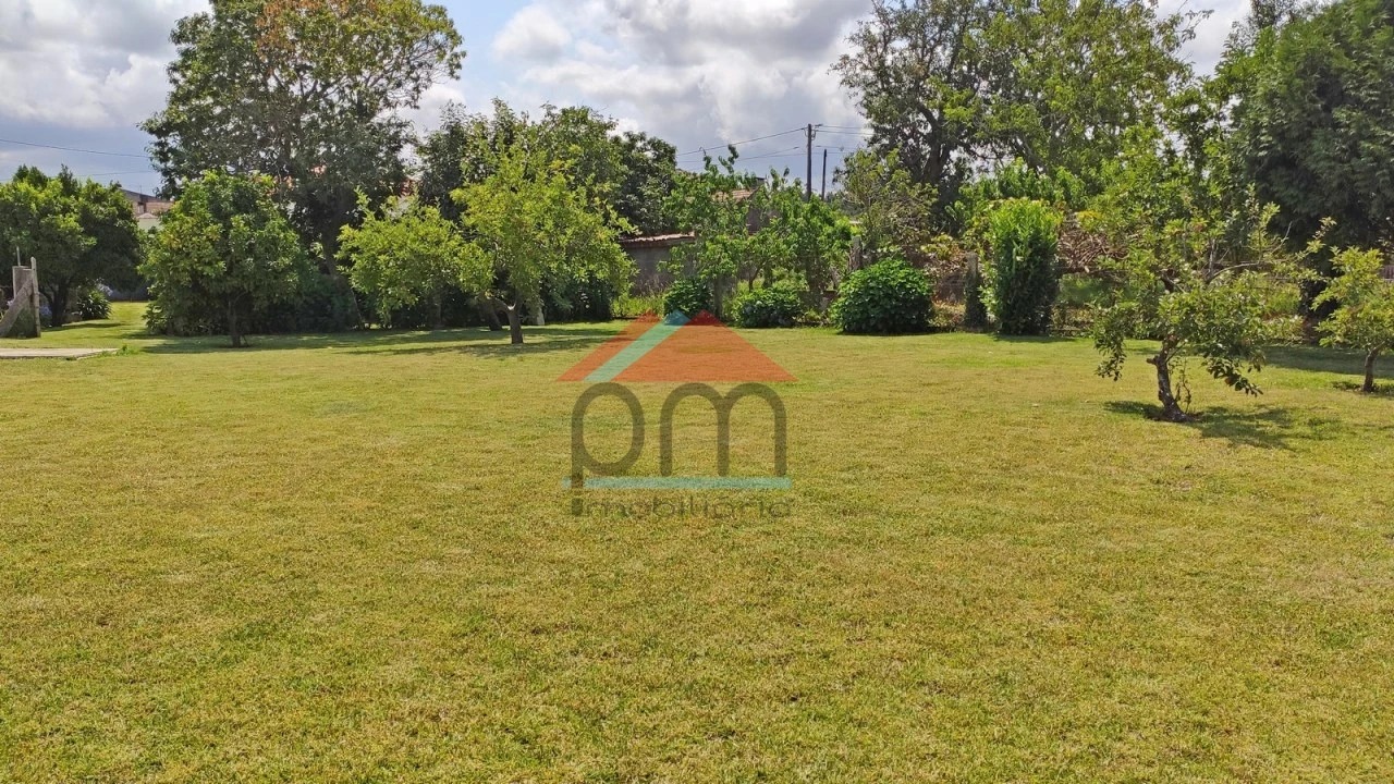 Terreno para Venda em São Pedro da Torre Foto 4